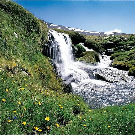 Nieves Del Sur